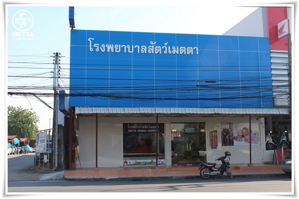 โรงพยาบาลสัตว์เมตตา สาขาหาดใหญ่